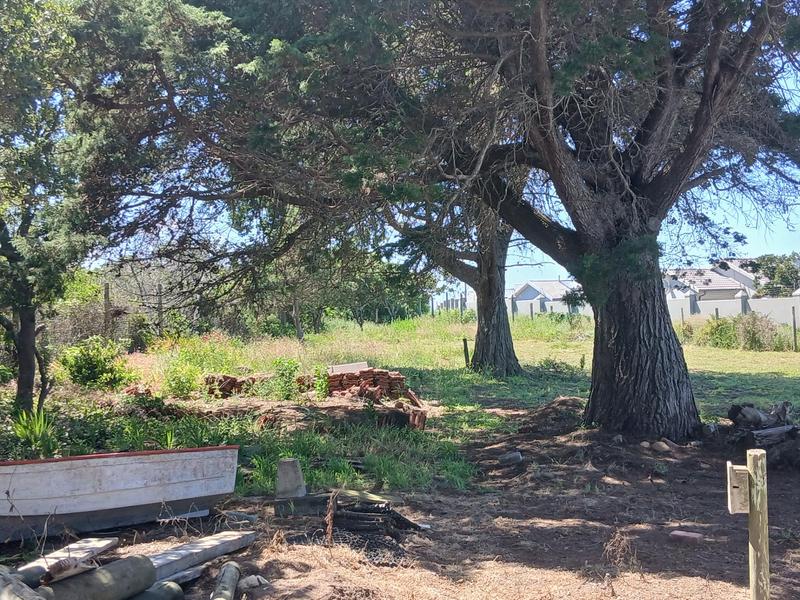 0 Bedroom Property for Sale in Tergniet Western Cape